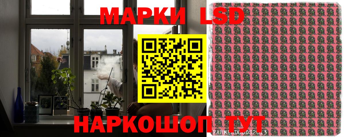 Марки N-bome  Марки N-bome 1,5мг  Евпатория  Вход с VPN  Марки N-bome 1,5мг 