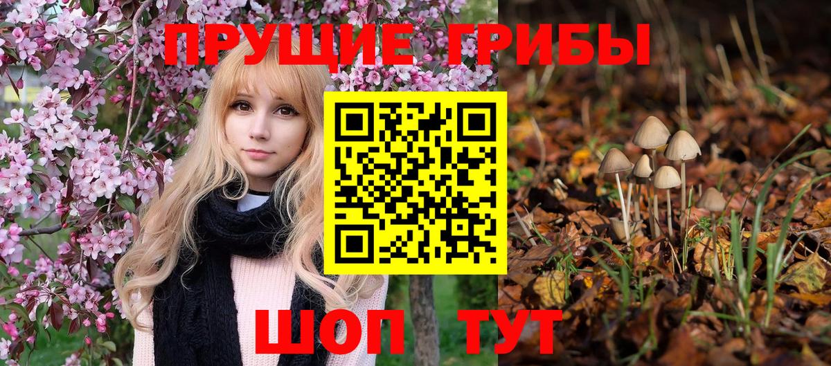 Галлюциногенные грибы Psilocybine cubensis Евпатория